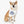 Load image into Gallery viewer, Pet Bandana Collar
